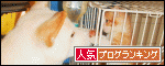 ブログランキング
