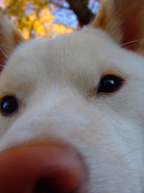 20101204 209