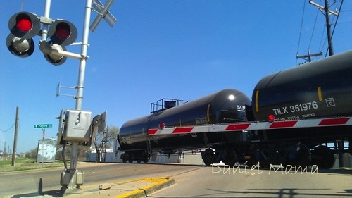 IMAG0290