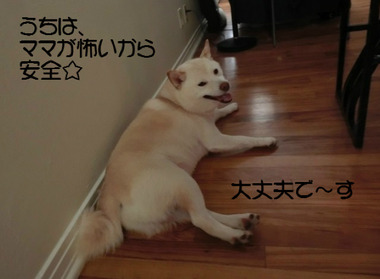 BlogPaint