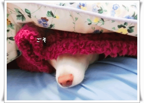 ブログランキング・にほんブログ村へ