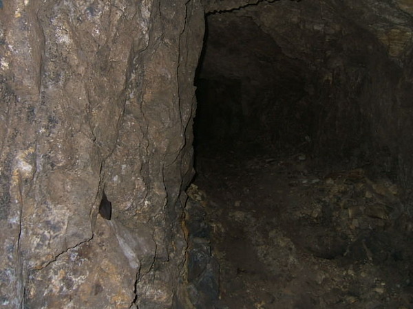 7555f344.jpg