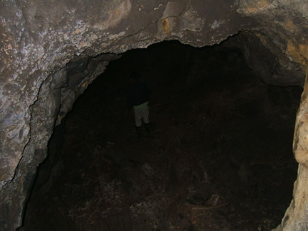 af9e052c.jpg