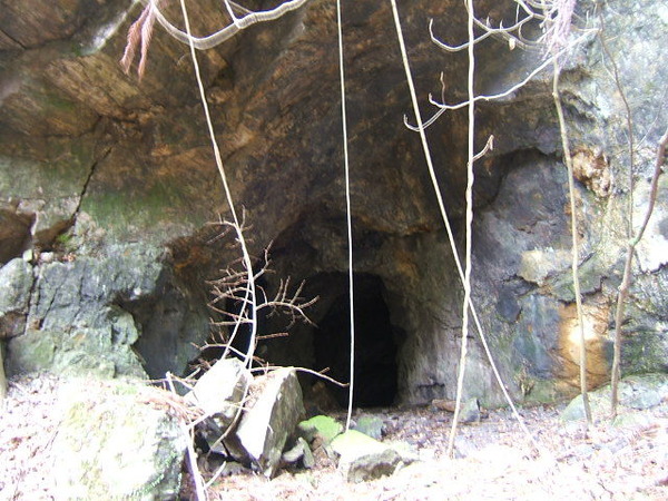 c394916e.jpg