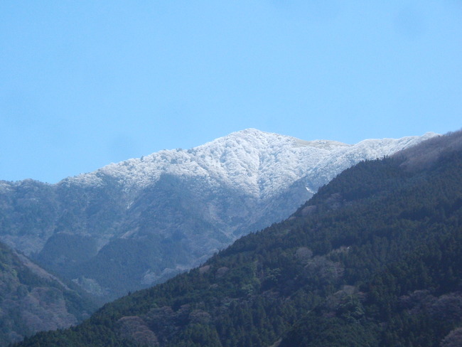 DSCF3993