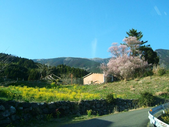 DSCF4032