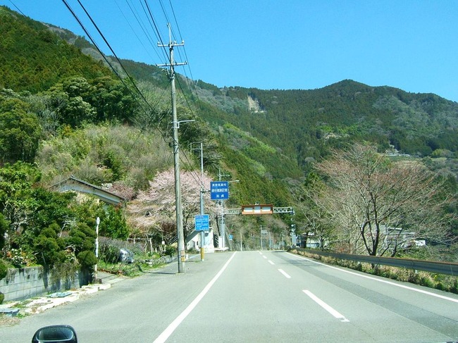 DSCF3995