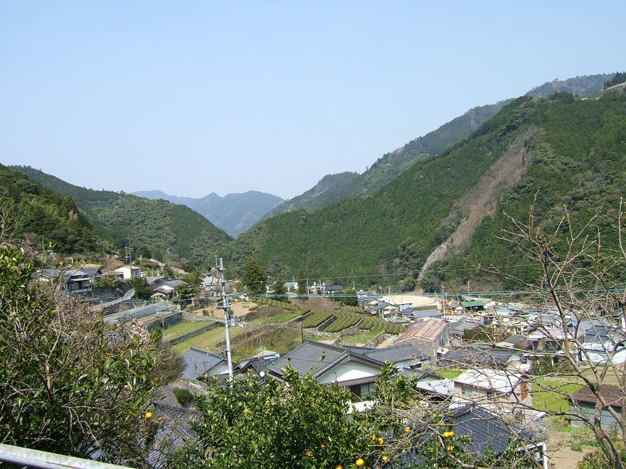 仁淀川町宗津からひょうたん桜 お気楽アルプ日記 Vol 2 仁淀川町宗津からひょうたん桜 お気楽アルプ日記 Vol 2