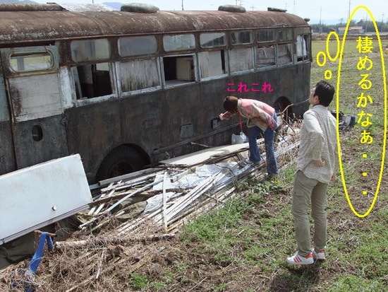 廃バスを物色