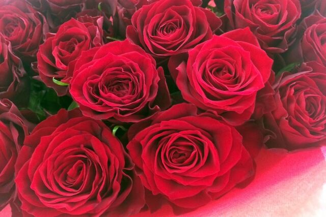 1回目の結婚記念日に花束をあげなかった 嫌みたらしくぐちぐち くそ めんどくさいんだが 男性様 気団 生活2chまとめブログ