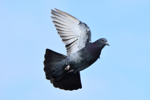 dd969e85c1187f4558c0fd4c71ffbfb8_s