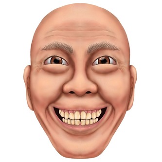 23255323
