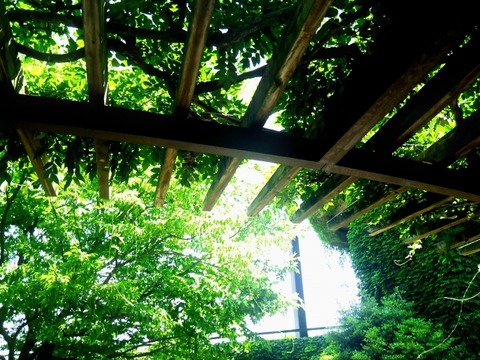 e994c618009832d81ef0149e5845d43d_s