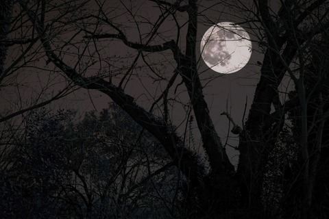 1628afb87afd877d502ec389f9e31df1_s