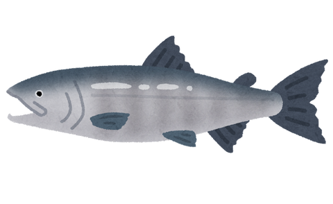 fish_sakana_sake (1)