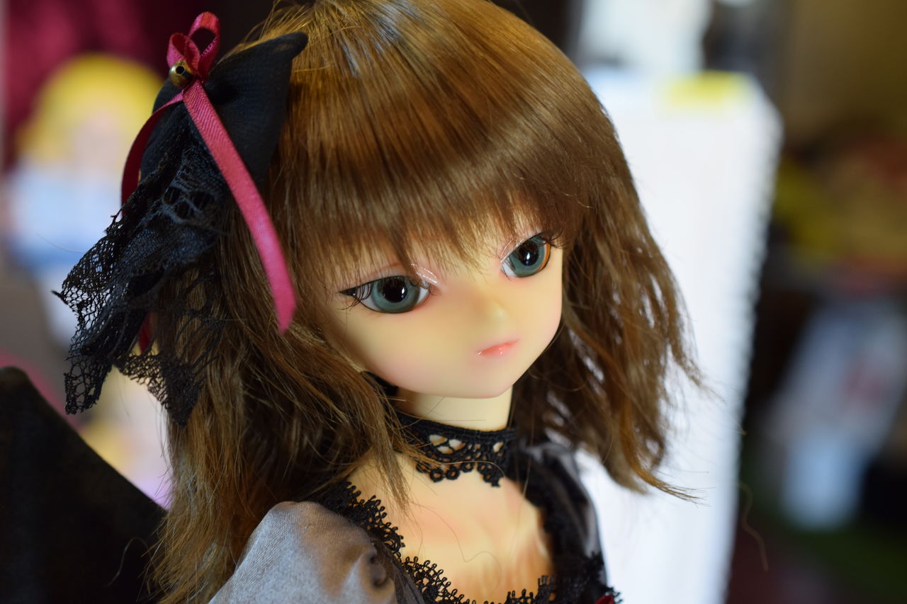 アニマとの戯れ Livedoor Blog ブログ