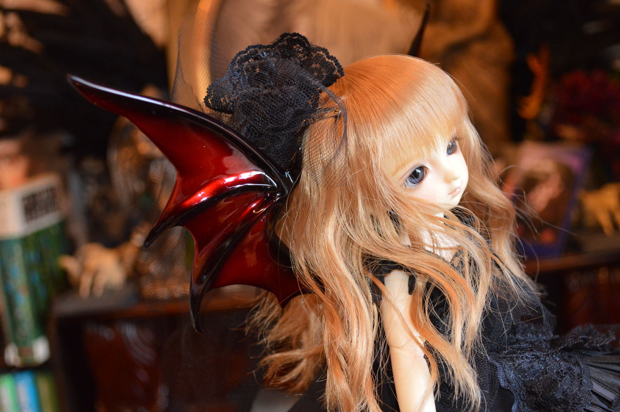 アニマとの戯れ Livedoor Blog ブログ