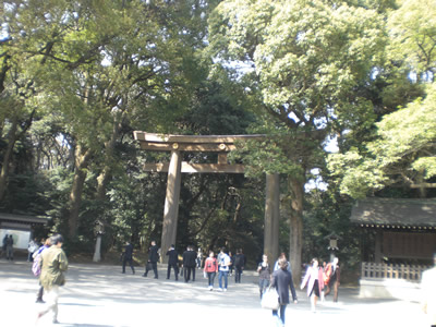 CIMG0867