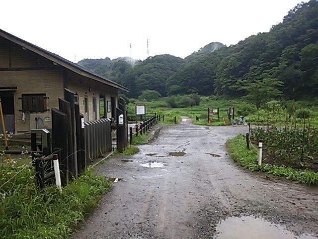 横沢入里山保全地域 その1 水分だっぷりコラーゲン
