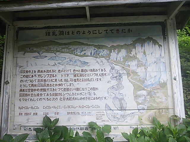 鍾乳洞はどのようにしてできたか 水分だっぷりコラーゲン