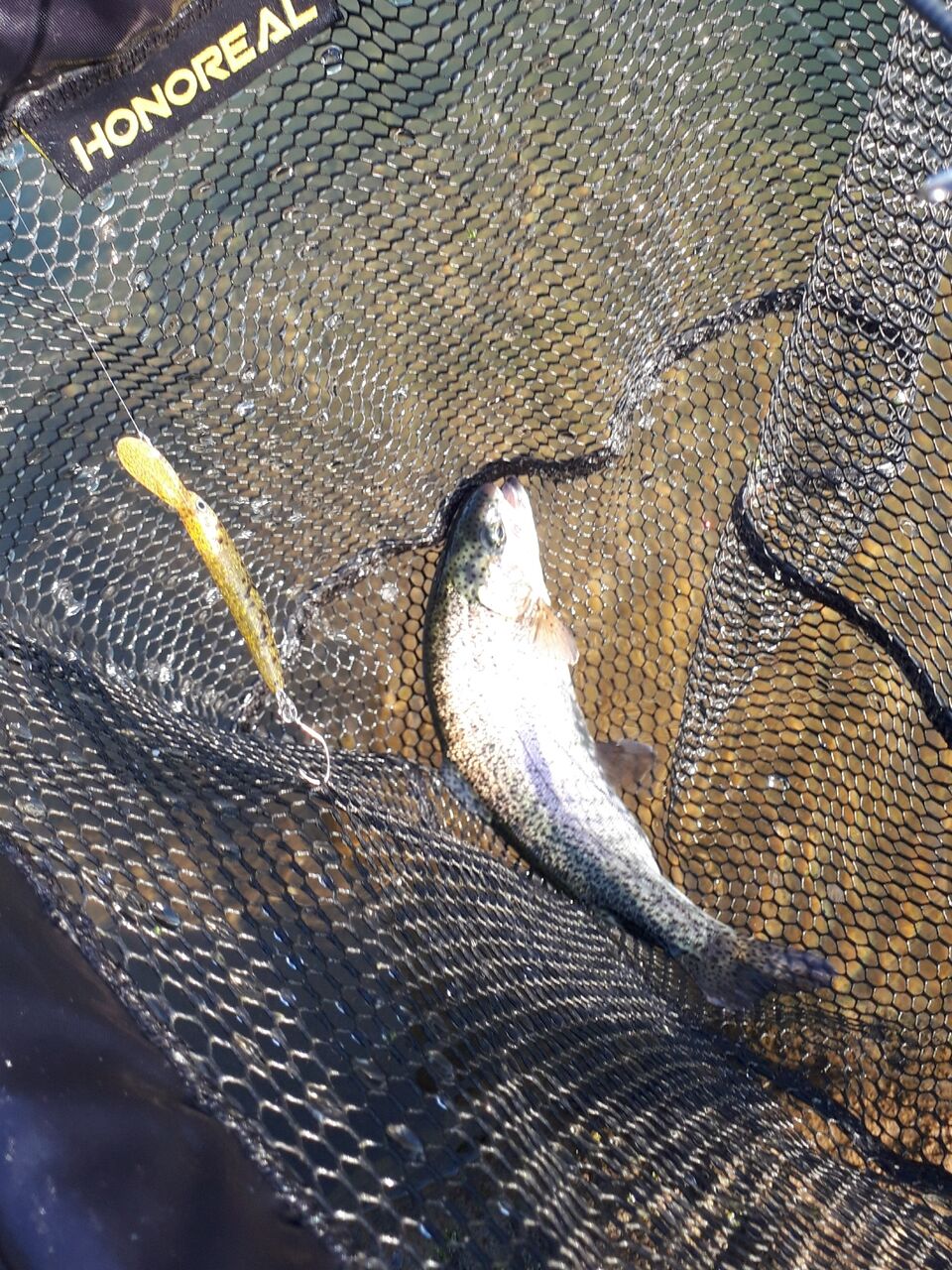 第3回ぼっちキャンプin東古屋湖キャンプ場 初日午前中は 308club で釣りを楽しむ 水分だっぷりコラーゲン