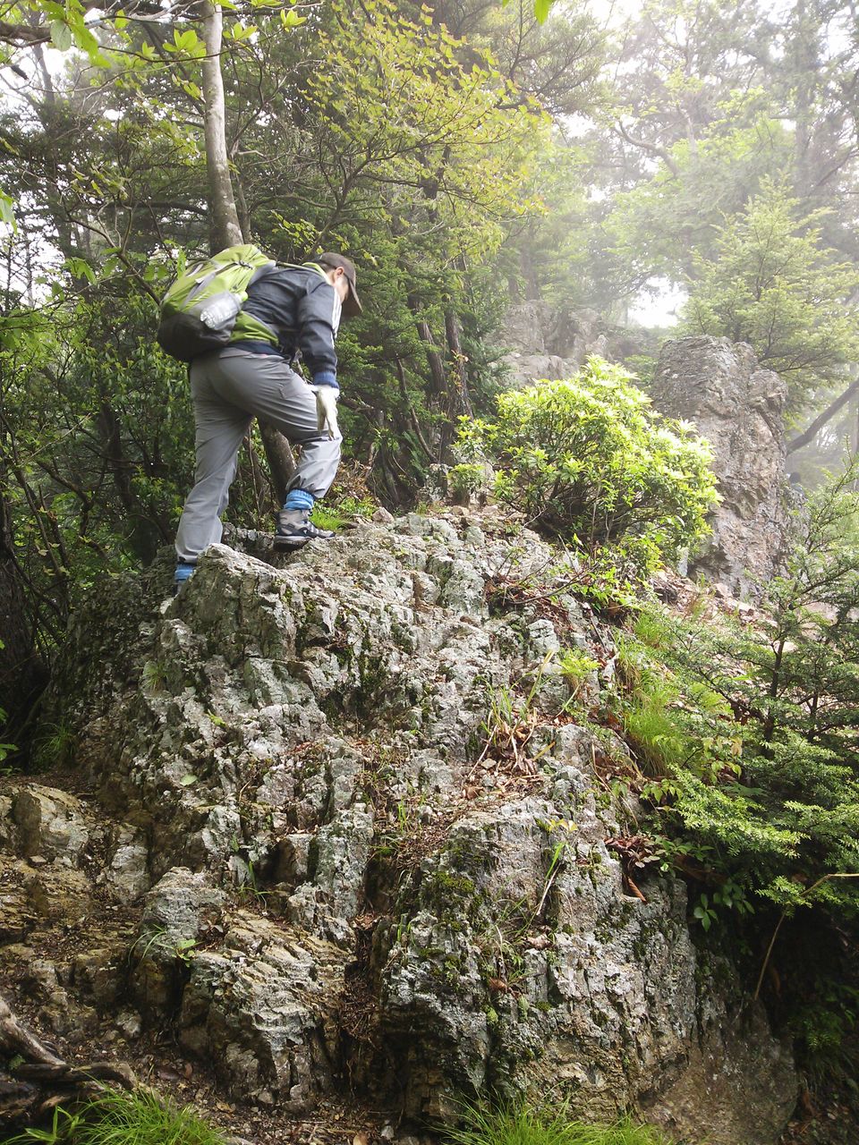 大持山 小持山縦走 こんだぁ小持山 水分だっぷりコラーゲン 大持山 小持山縦走 こんだぁ小持山 水分だっぷりコラーゲン