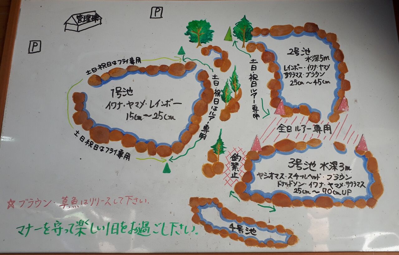 年休をいただいて 栃木県のお初のカンツリに行ってみた 発光路の森fa後編 水分だっぷりコラーゲン