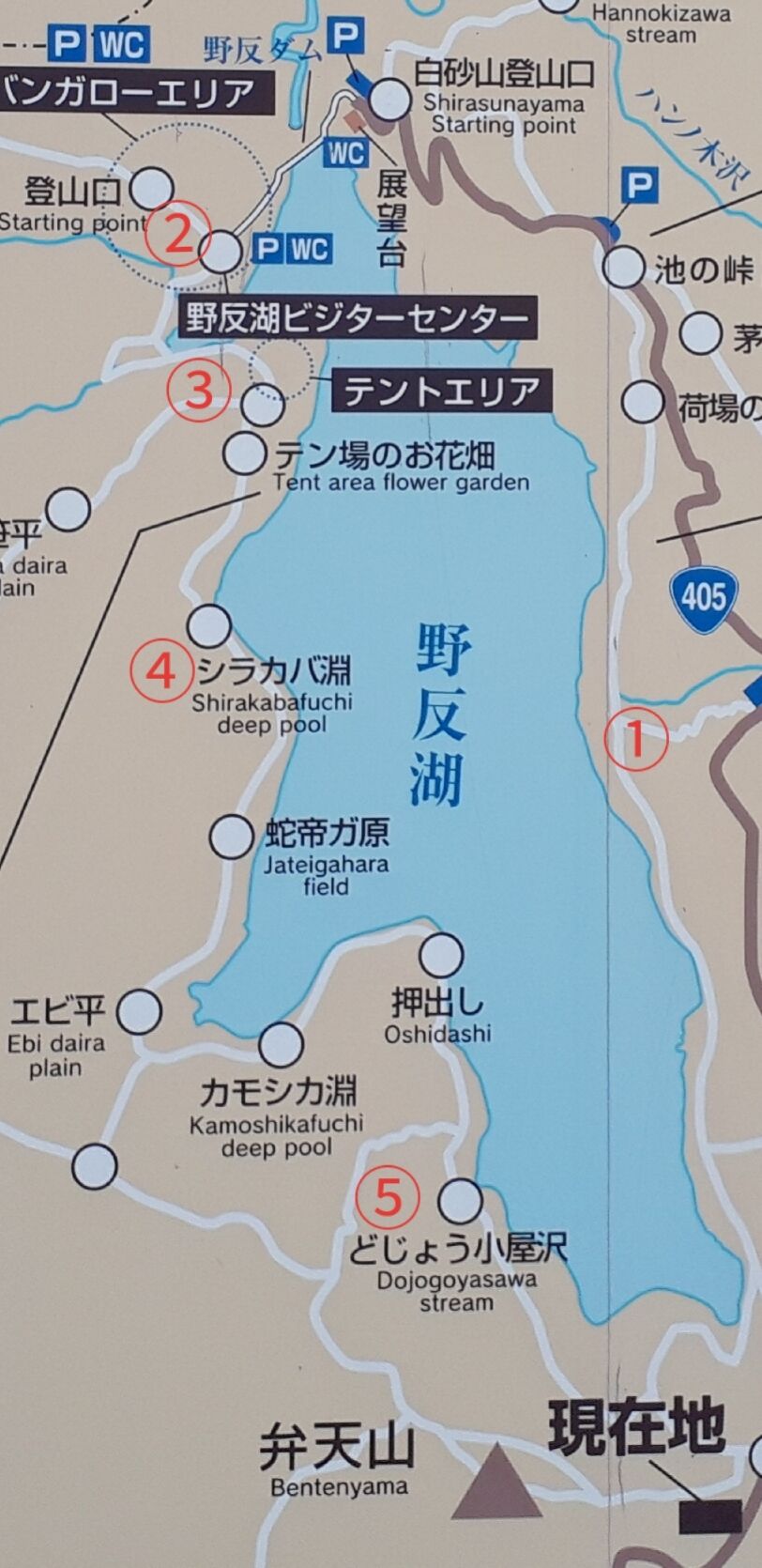 野 反 湖 釣り