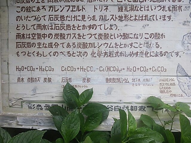 鍾乳洞はどのようにしてできたか 水分だっぷりコラーゲン