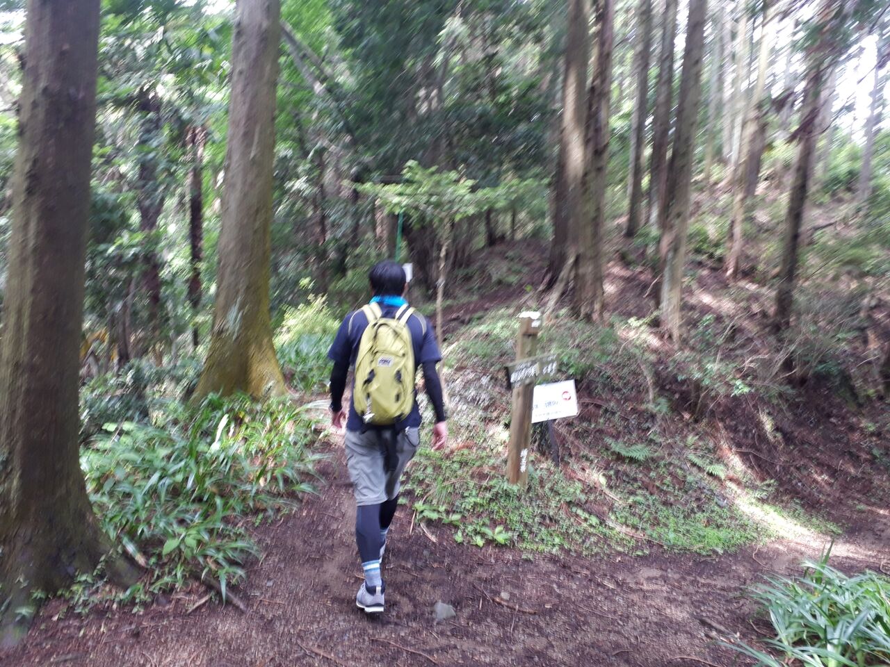 5年ぶりに破風山に登る 最終章 水分だっぷりコラーゲン