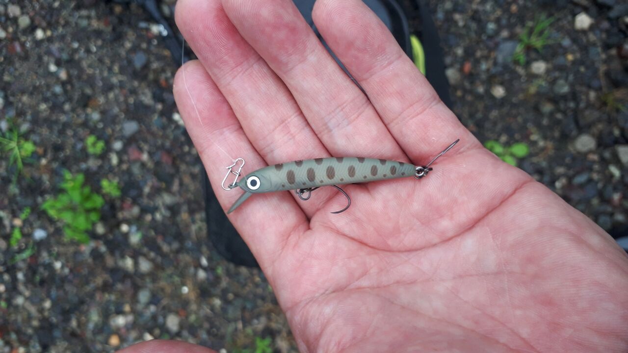 試してみたいことその2 トップウォーターの釣りin奥利根fp 水分だっぷりコラーゲン