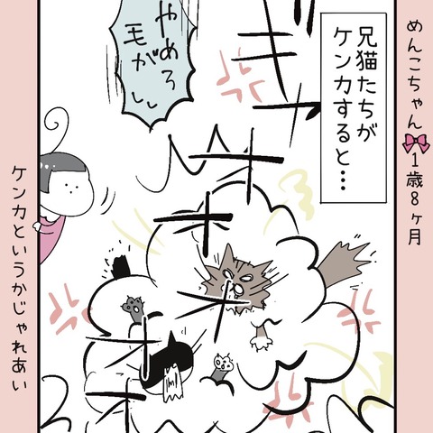 5938B239-E1E6-4AED-8824-4D5810DC3547