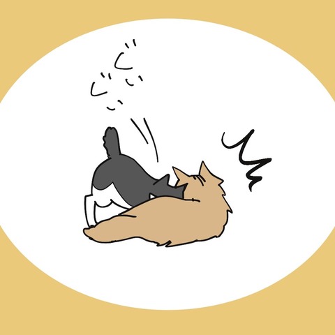 9C52EC89-52A8-45C1-80CF-4DCD9F6FB8FC