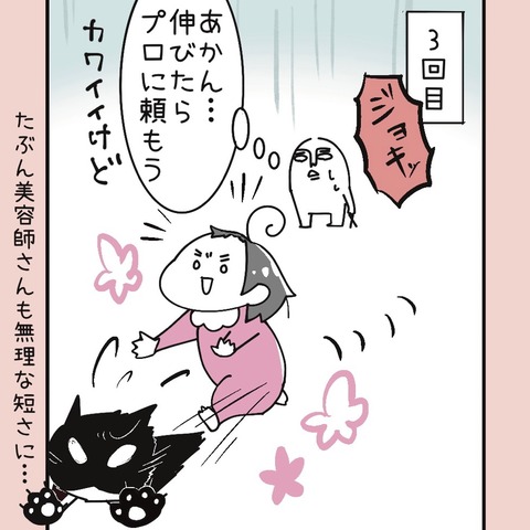 8725A77B-B727-4209-AB10-62DDE0D31CF3