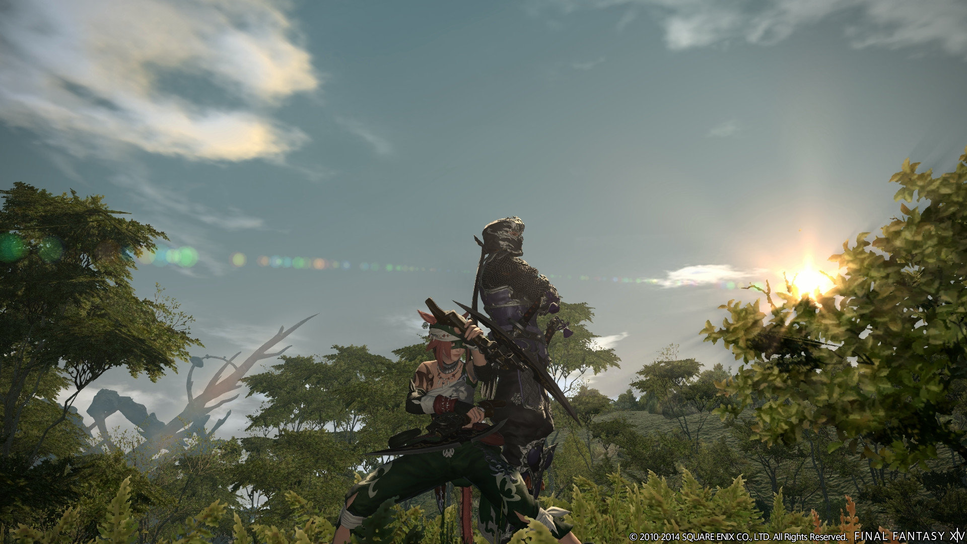 Ff14 ナイトをもっと格好良い抜刀モーションに 各ジョブ 種族の武器モーションに物申す じゅうよんにゅーす Ff14 ナイトをもっと格好良い抜刀モーションに 各ジョブ 種族の武器モーションに物申す じゅうよんにゅーす