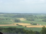 IMG_0463