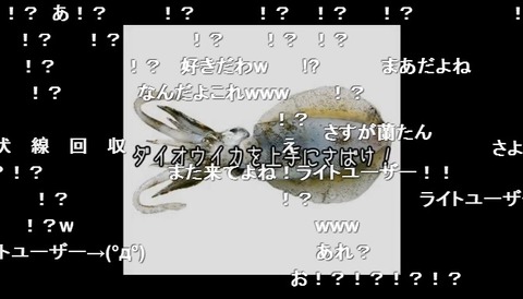 人気実況者・蘭たん、台所でダイオウイカとリアルスプラトゥーンｗｗ【きのこたけのこ戦争より熱い】