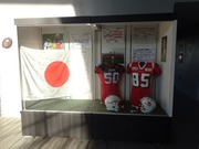 展示物