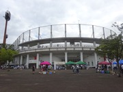 小田原球場1