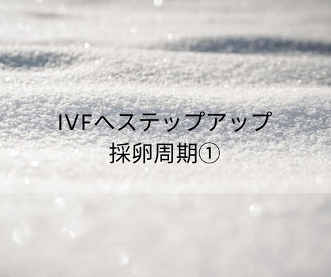 不妊のコピー (2)