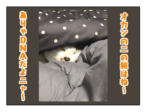 A9041FFE-CD3F-461C-841B-FA8EAEF948F2