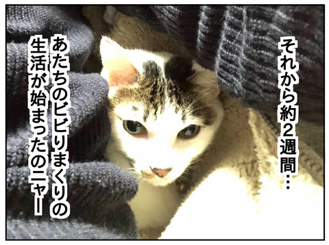 8FA229AD-70EF-472F-BC84-185770148990