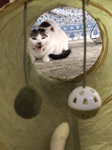 CF3E9690-5F33-42CB-B496-5327F647F953