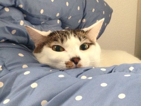 E2D0EE06-D969-4550-9508-D87A679EFC3F