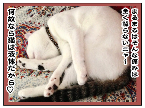 C322642C-0BC3-46E3-881C-157FFDCCD06E