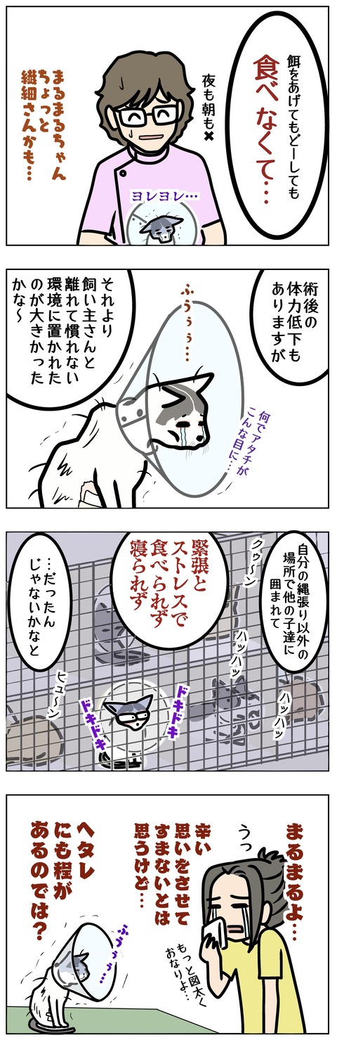 F0BE2DC2-FA1B-441C-A369-685E4D2FE886