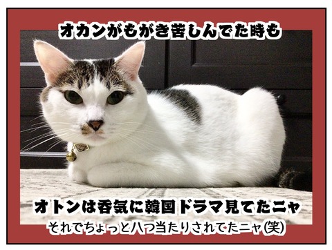 E21DA3EF-B671-446D-B607-DA4229D341C1