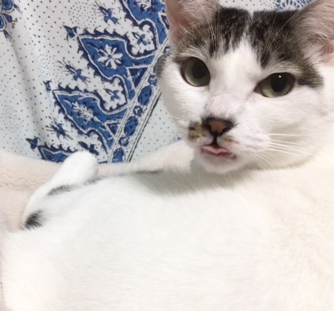 57DAD01A-6E73-4F99-85FF-B0965D7BA57B