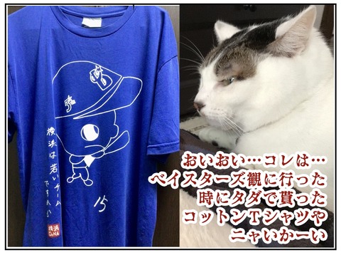 6A0D0574-EB85-482E-8015-419DD5C2D007