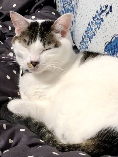 7BFE39DF-CC28-4920-BCCE-CCC39900C55C